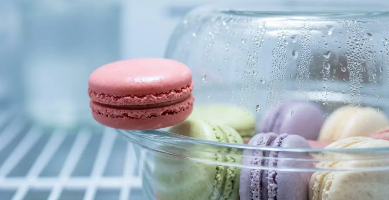 Gros plan sur des macarons français conservés dans une boîte hermétique élégante